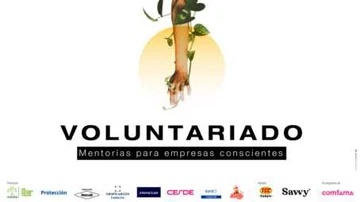 Voluntariado